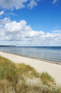 Beach and Baltic Sea near Lobbe