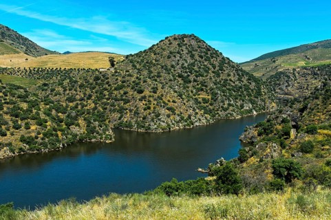 River landscape in the Upper Douro Valley