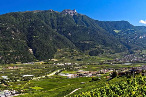 The Pierre Avoi summit rises above the Rhone valley at Saxon