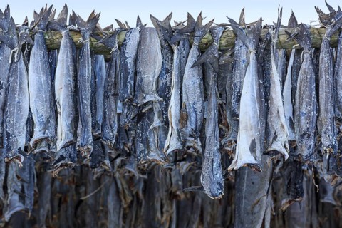 Hanged stockfish