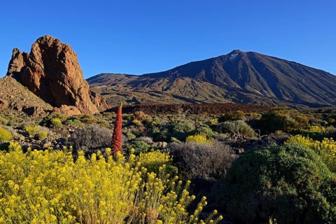 Roques de Garcia