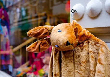 Kangaroo Jacket made of Plush