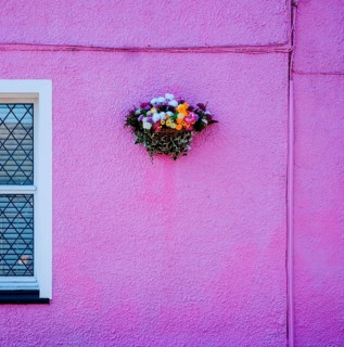 Flowers hanging on pink house facade
