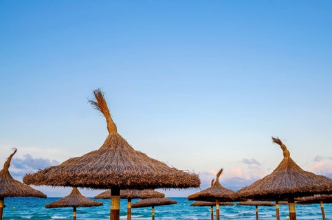 Sunshades by the sea