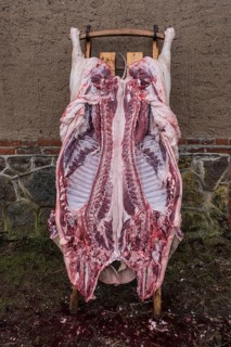 House slaughter of a pig