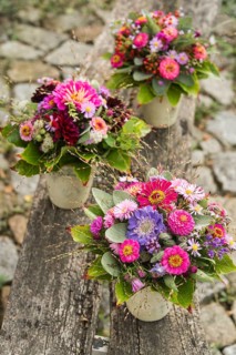 Three small autumn bouquets with Zinnia (Zinnia elegance)