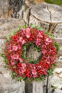 Autumn wreath tied to birch trunk with rosehip (Rosa canina)