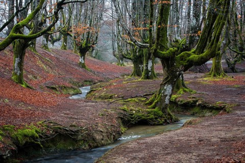 Gorbea Natural Park