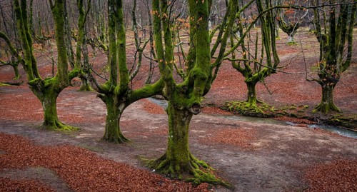 Gorbea Natural Park