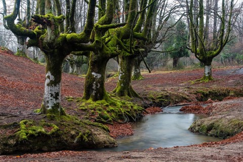 Gorbea Natural Park