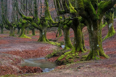 Gorbea Natural Park