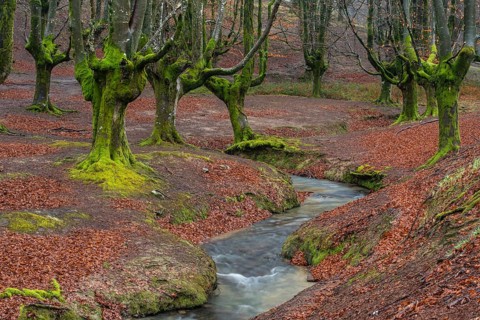 Gorbea Natural Park