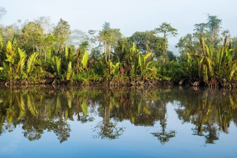 Morning atmosphere and water reflection in the river Sungai Sekonyer in Tanjung Puting National Park