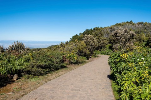 Hiking trail to the highest point of the island