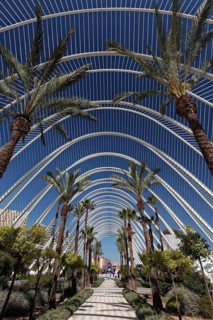 L'Umbracle