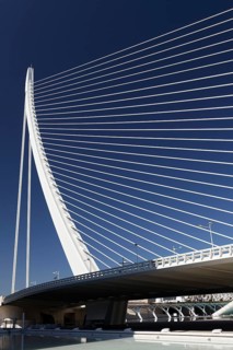 Harp-shaped cable-stayed bridge