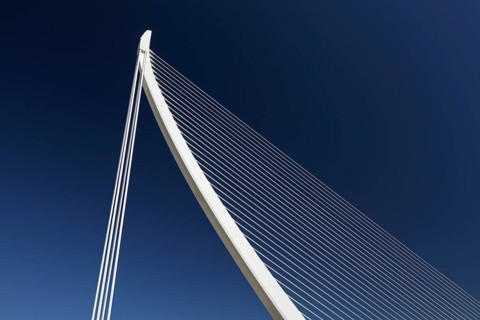 Harp-shaped cable-stayed bridge