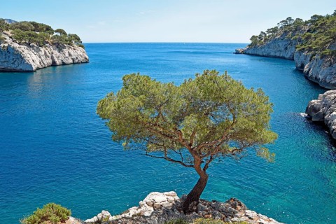 Calanque de Port Pin