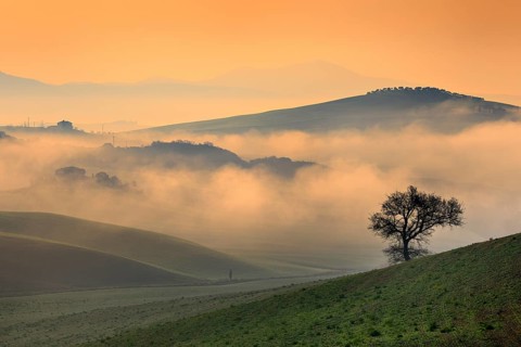 Morning atmosphere in Tuscany
