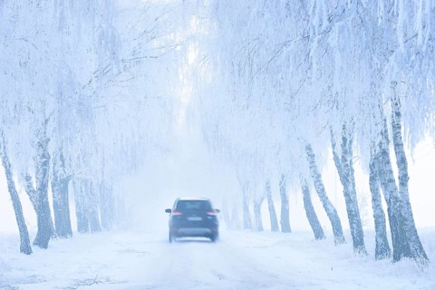 Car driving on snow-covered road through Birken-Allee with hoarfrost and fog