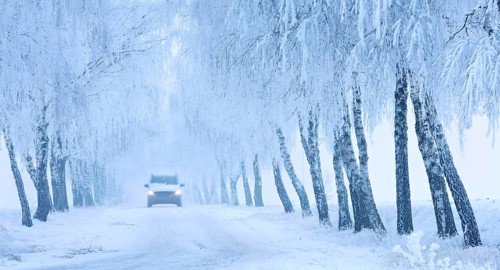Car driving on snow-covered road through birch avenue with hoarfrost and fog