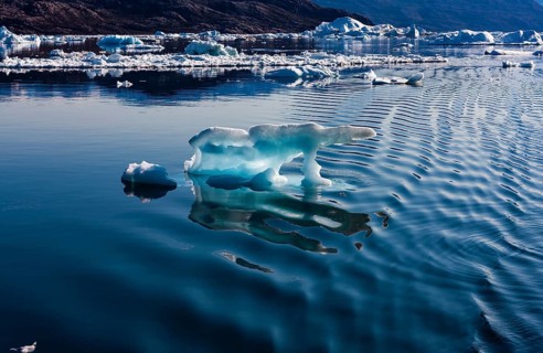 Iceberg