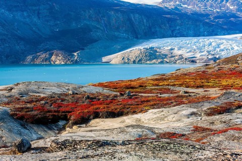 Colourful overgrown rocks in front of glacier tongue