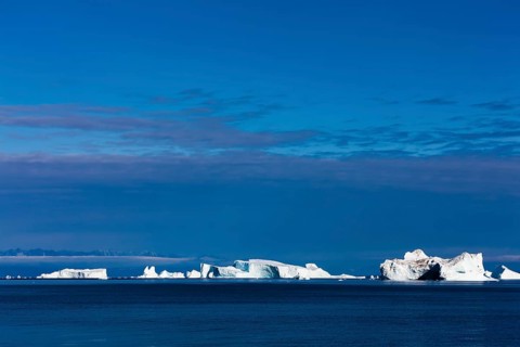 Icebergs in the Arctic Sea
