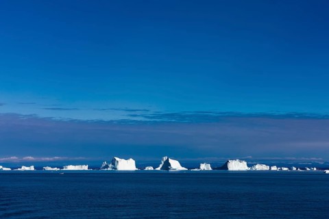 Icebergs in the Arctic Sea