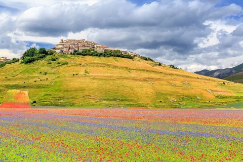 Flowering Piano Grande with village Castelluccio