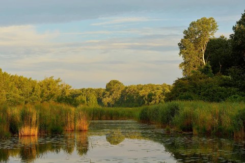 Morning light over a small lake