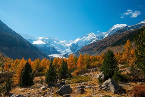 Autumn in the Valley with yellow larches