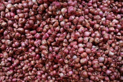 Red onions
