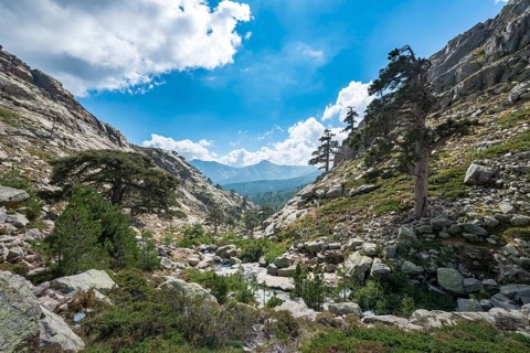 Mountainous landscape in Golo Valley