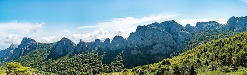 Mountain range with rocky peaks surrounded by pine forest