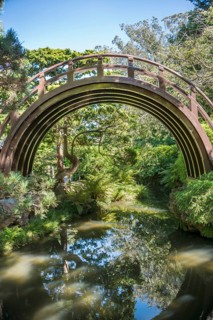 Wooden curved bridge