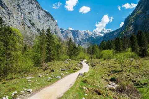Trail from the Salet-Alm to Obersee