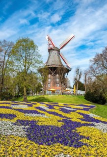 Windmill with colorful flowerbeds