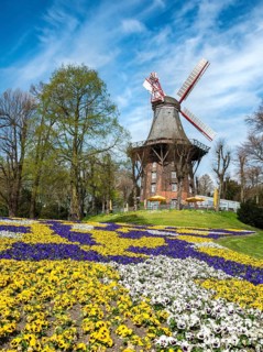 Windmill with colorful flowerbeds