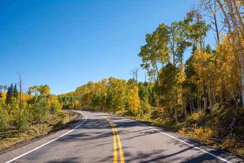 Highway 12 through autumnal aspen forest