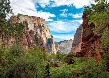 View in Zion Canyon with Mount Great White Throne