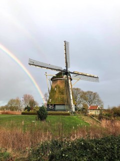 Windmill De Riekermolen with rainbow