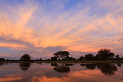Waterhole at sunset
