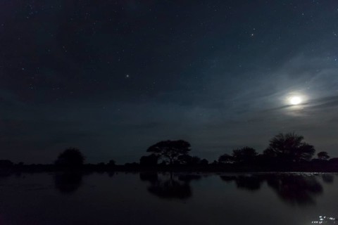 Waterhole at night