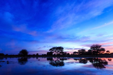 Sunrise at waterhole