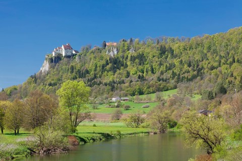 Werenwag Castle in spring