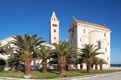 Cathedral San Nicola Pellegrino