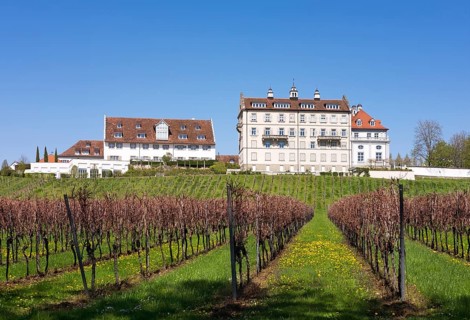 Schloss Kirchberg castle above vineyards