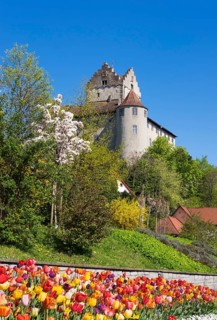 Meersburg castle in spring