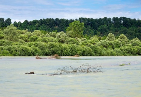Isar with floods